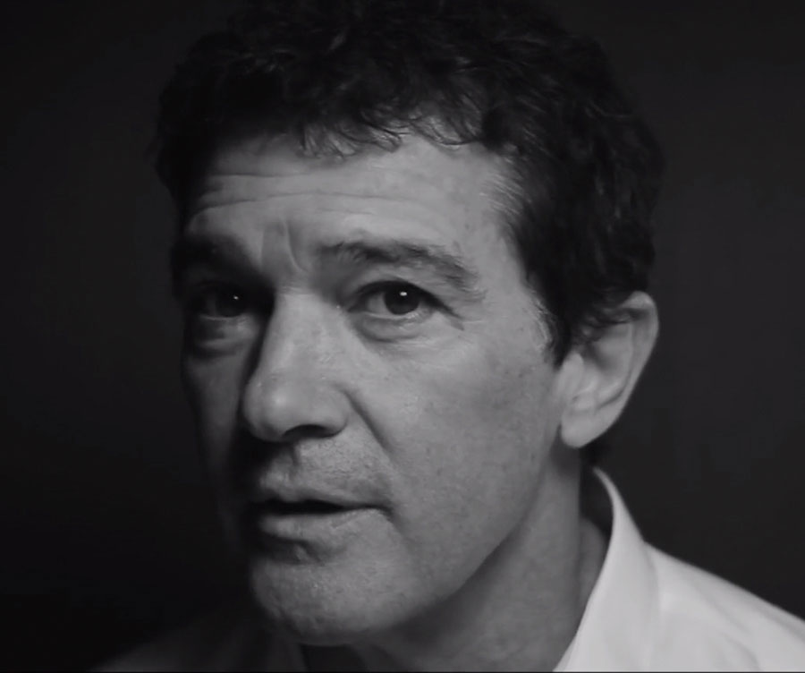 The Secret Temptation - Antonio Banderas - Stylist