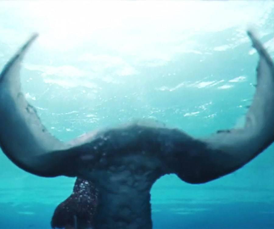 La Cursa de El Corte Inglés - Stylist